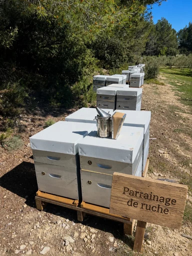 Rucher des Ruchers des Richet à Jouques, avec le panneau « Parrainage de ruche »