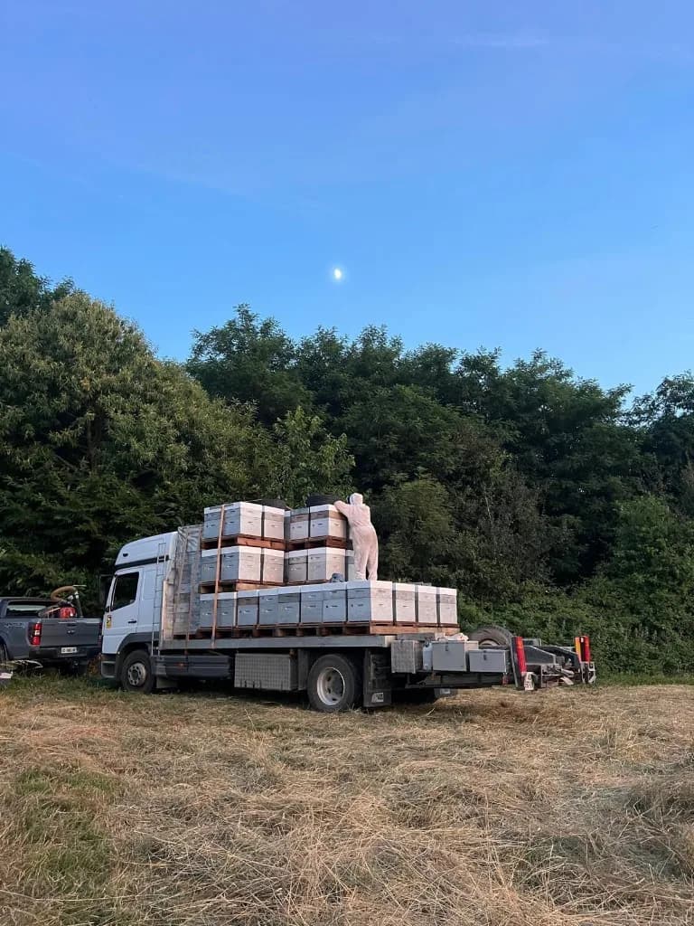 Transport de ruches sur un camion — apiculteur en tenue blanche