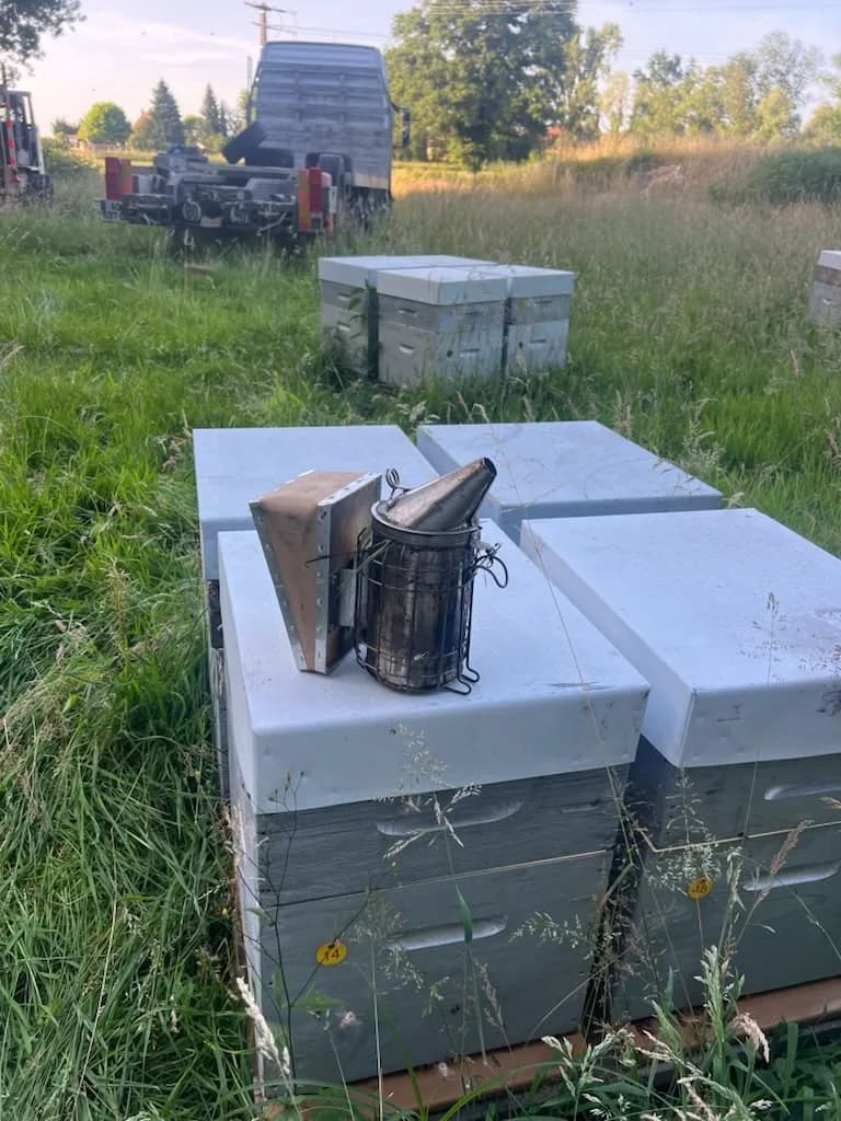 Enfumoir posé sur une ruche dans un rucher en plein air, camion de transhumance au loin